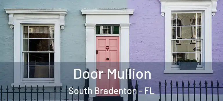 Door Mullion South Bradenton - FL
