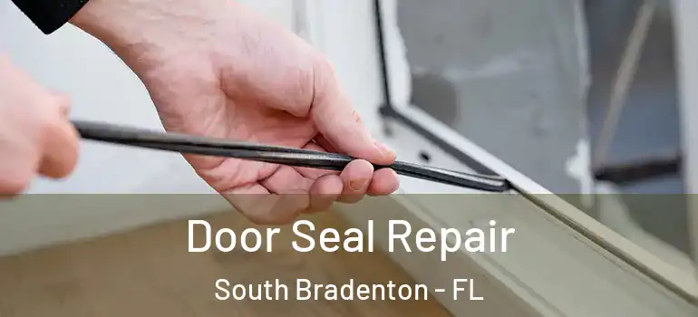 Door Seal Repair South Bradenton - FL