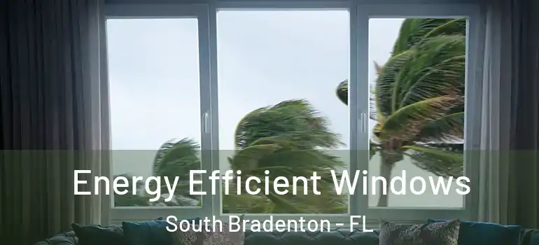 Energy Efficient Windows South Bradenton - FL