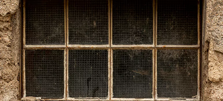 Traditional Double Front Doors in South Bradenton, FL