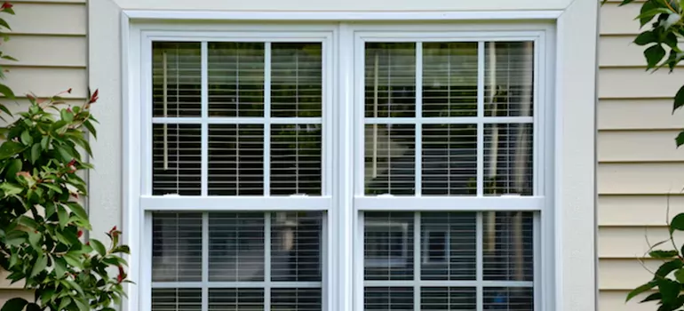 Custom Double Hung Windows in South Bradenton, FL