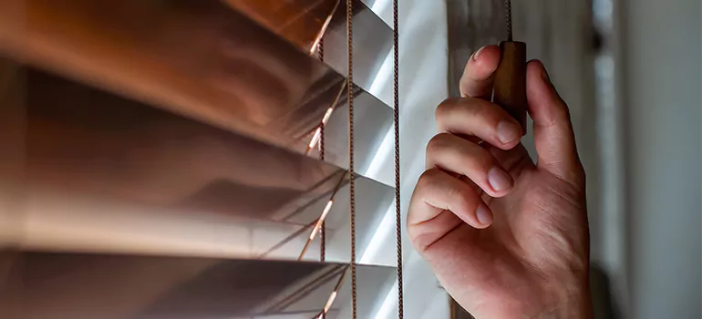 Double Roller Blinds in South Bradenton, FL