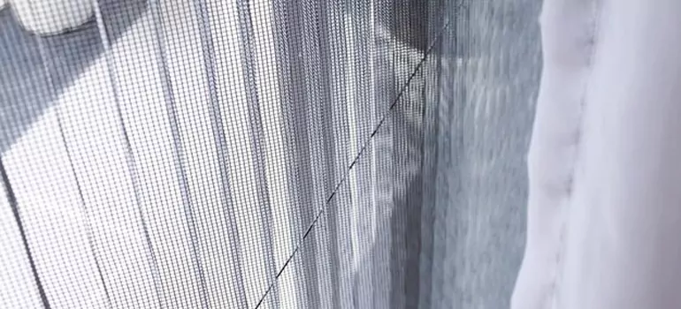 Fixing Screen Window Mesh in South Bradenton, FL