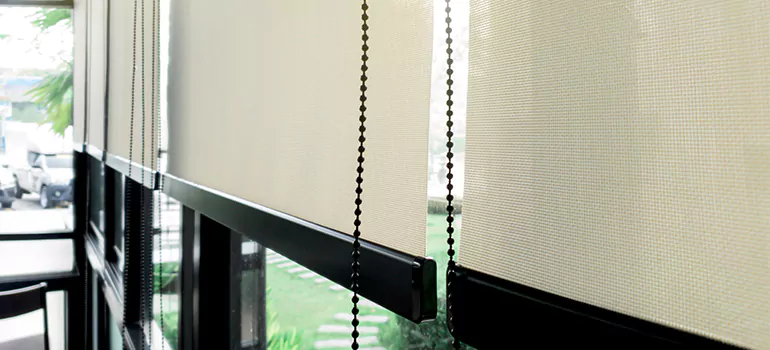 Blackout Window Shades in South Bradenton, FL