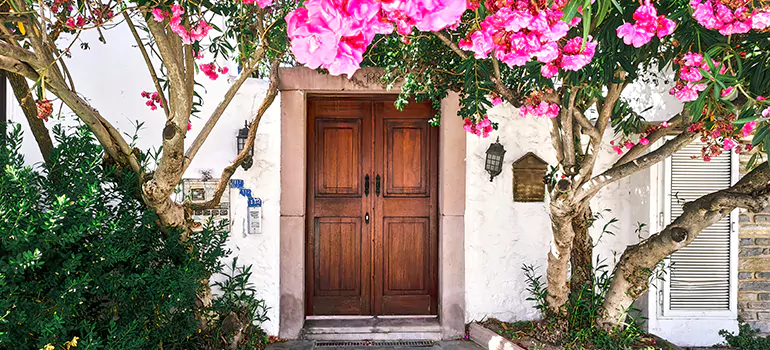 Traditional 4 Panel Internal Doors in South Bradenton, FL
