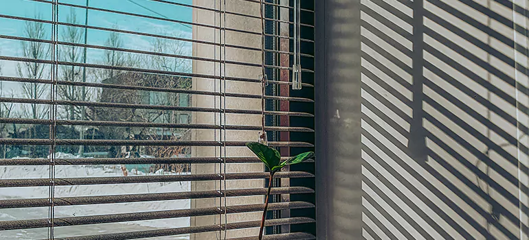 Commercial Window Blinds in South Bradenton, FL