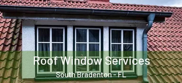 Roof Window Services South Bradenton - FL