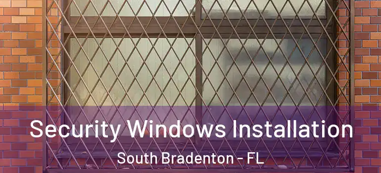 Security Windows Installation South Bradenton - FL