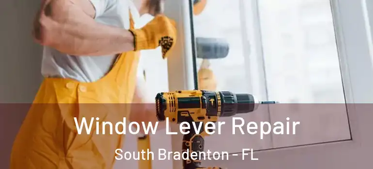  Window Lever Repair South Bradenton - FL