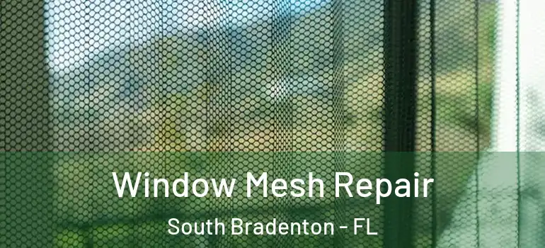  Window Mesh Repair South Bradenton - FL