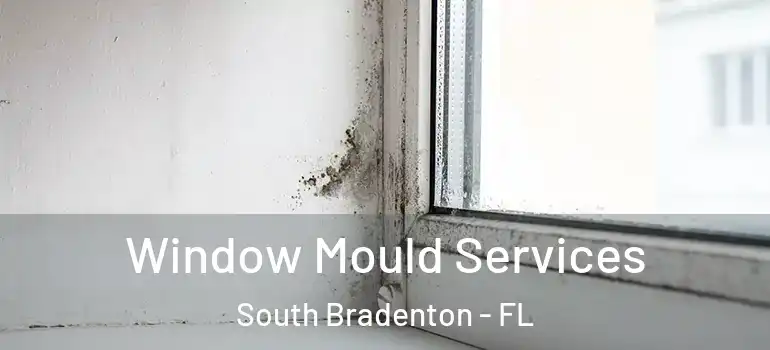 Window Mould Services South Bradenton - FL