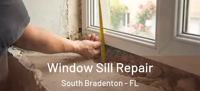 Window Sill Repair South Bradenton - FL